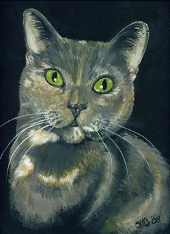 Cat portrait by Scott M. Soffa